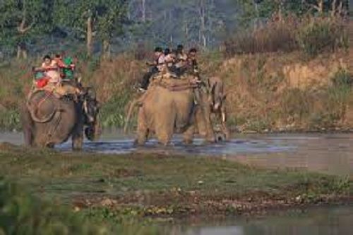 Jungle safari to be halted in Chitwan National Park