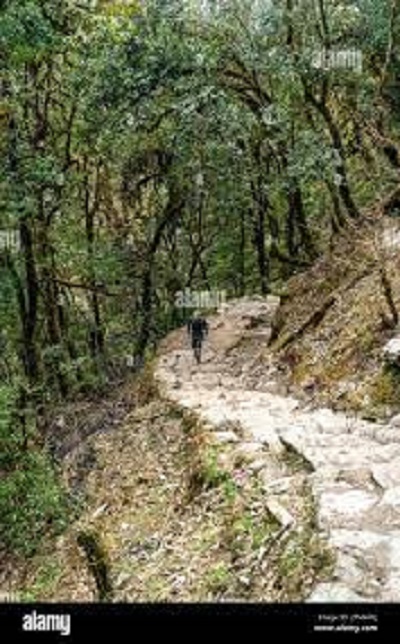 Trekking route linking Andha Galchi, Rupse Waterfall and Bajadhunga constructed in Myagdi