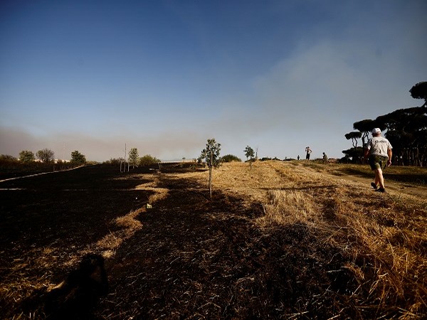 Heatwave in Spain kills 679 people in a week