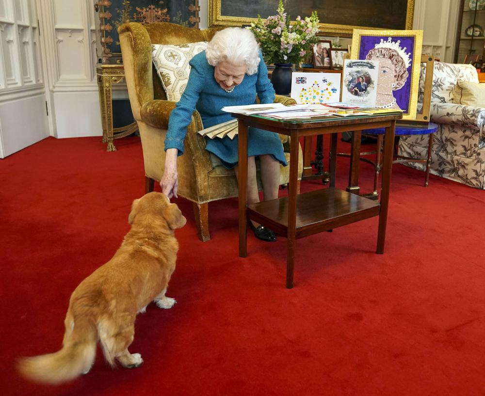 Queen’s canine gate-crashes as she views mementoes of reign