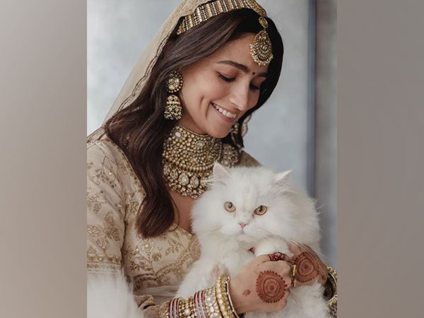 Alia Bhatt drops new snaps from recent wedding with Ranbir Kapoor, introduces her ‘cat of honour’