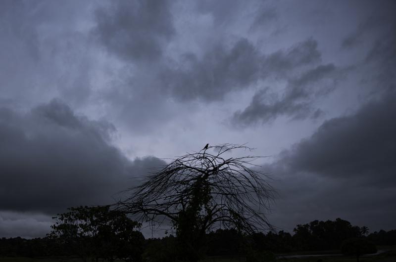 Floods leave 8 dead, 12 missing in south India