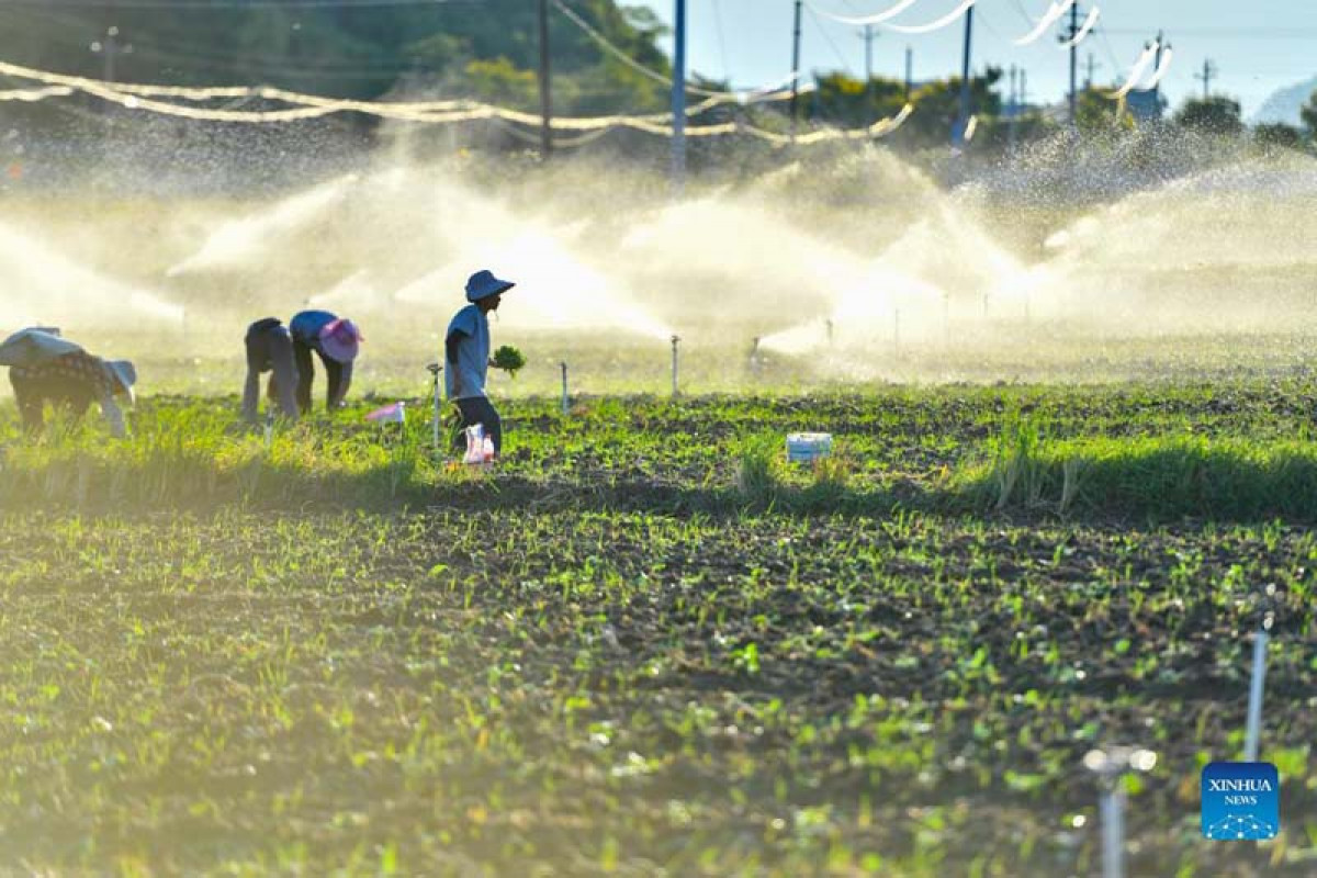 Agricultural equipment provided to farmers of Panchpokhari