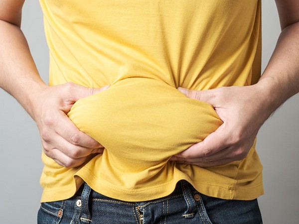 Study finds key protein linked to appetite, obesity