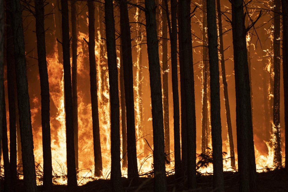 Fire breaks out in Solu community forest