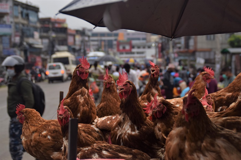 Crowds have started forming in vegetable marts