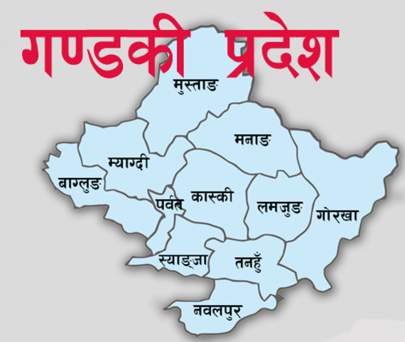 155 co-ops merged in Gandaki province