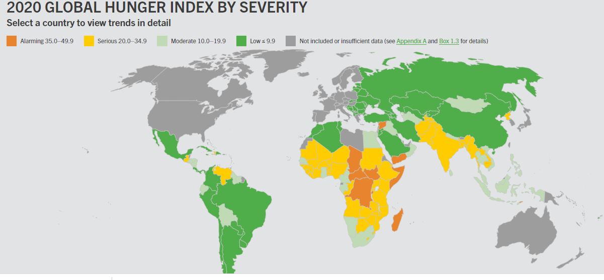 Globe not on track to achieve Zero Hunger by 2030: 2020 GHI report