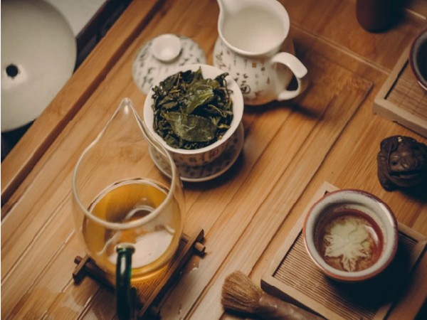 Green tea extract improves gut health