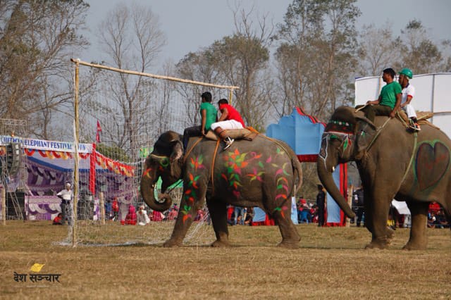 Chitwan Elephant and Tourism Festival from December 26