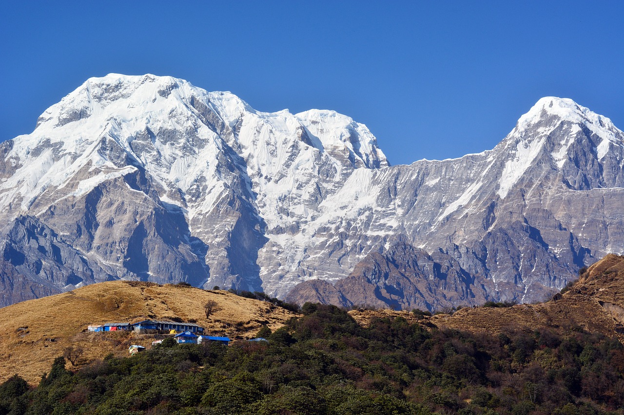 ‘Save the Himalayas, save the river’ campaign