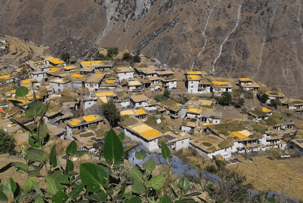 Committed formed for developing local curriculum in Humla