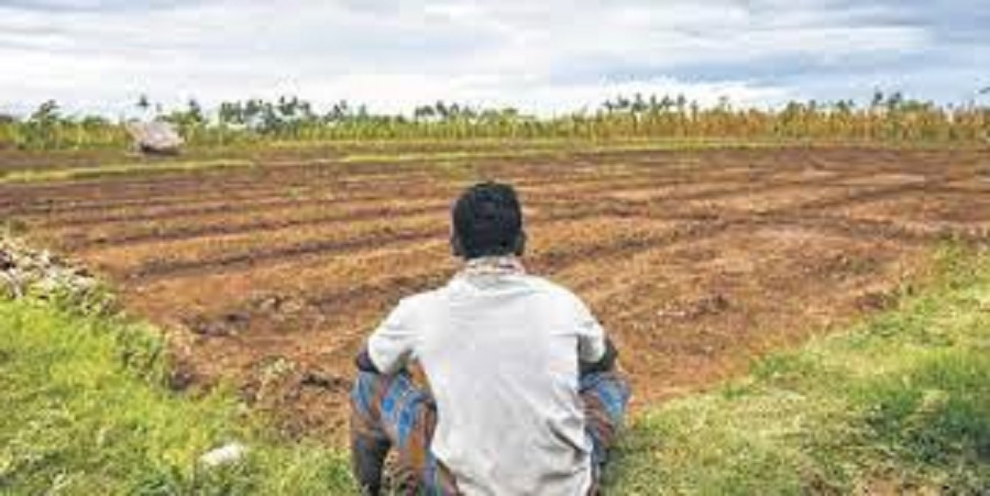 Delayed Monsoon Urges Farmers to Delay Harvesting