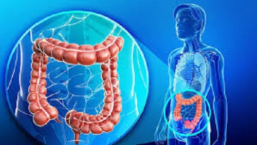 Common bacterium may spread from intestine: Research