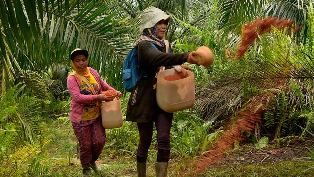 Indonesia launches crude palm oil exchange