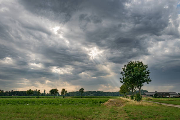 Weather to remain partly to generally cloudy across the country today