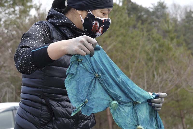 Farmers in Fukushima plant indigo to rebuild devastated town