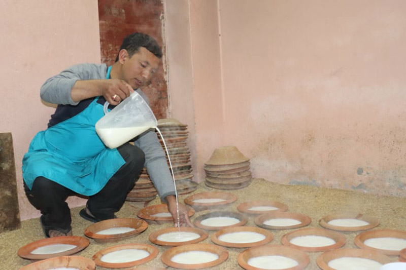 Making of Juju Dhau- King of Curd!