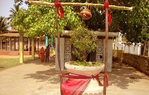 Jud-Sheetal festival being celebrated in Mithila region