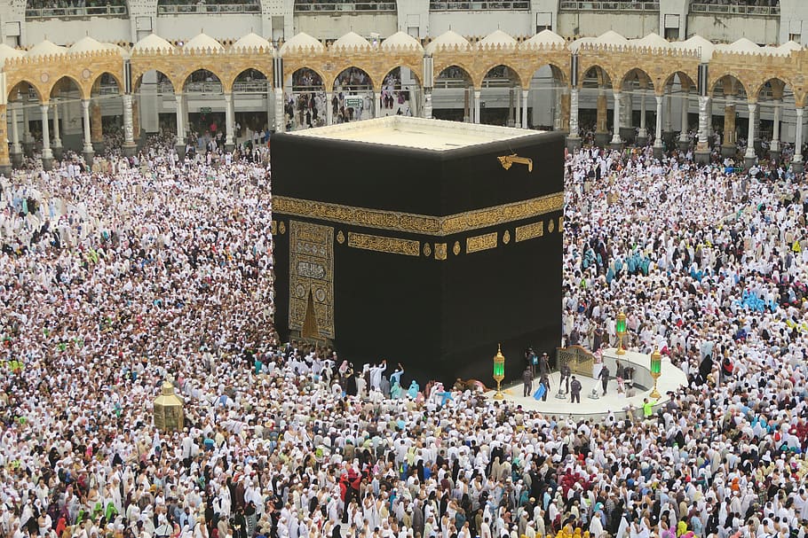 Preparation of Hajj Travel-2023 in the final stage