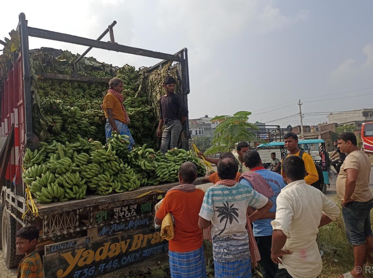 Banana worth 50 million imported for Chhath in Janakpurdham