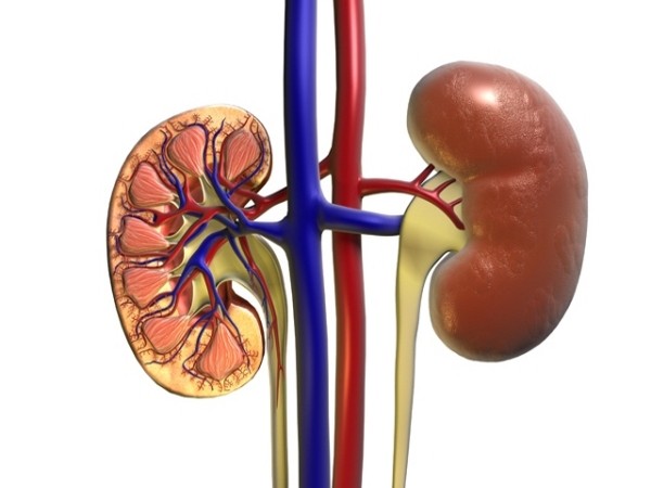 Three successful organ transplantations