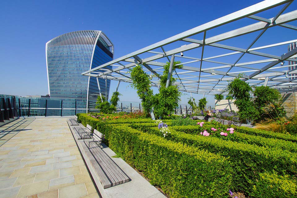 Rooftop gardens, greenery can turn down heat in cities: Research