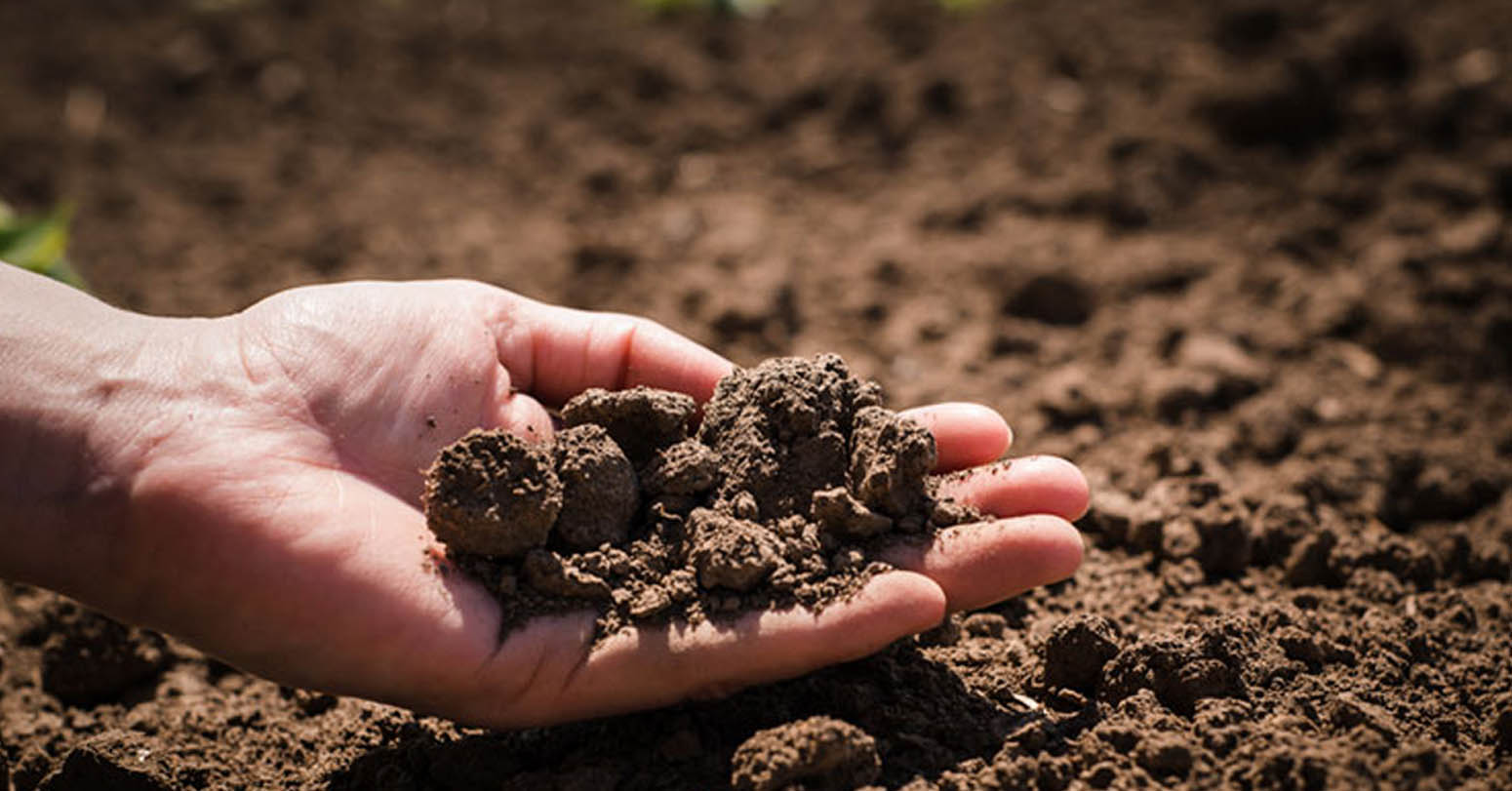 Various events being organized on World Soil Day