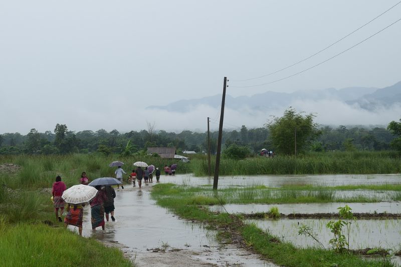 Monsoon enters Nepal from Eastern region