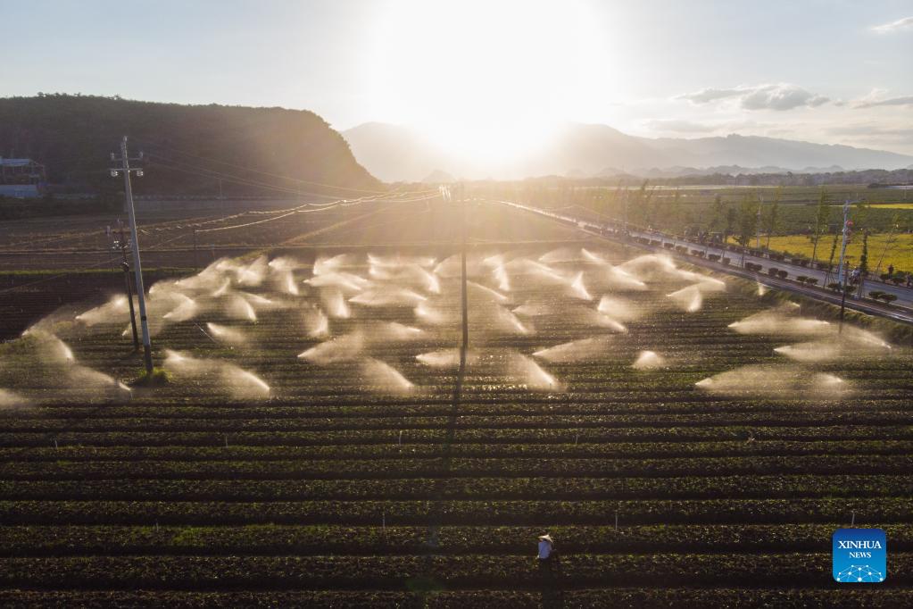 Chemical fertilizers being supplied to different districts