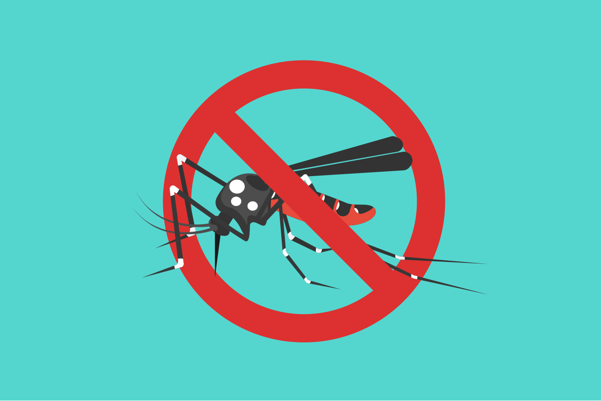 Kathmandu Metropolis urges citizens for preventive measures against dengue