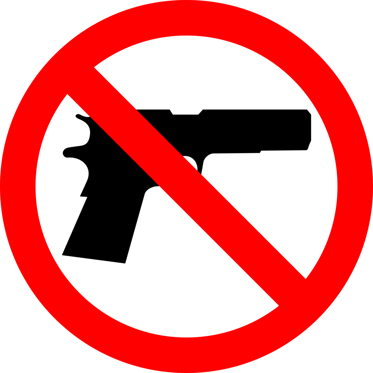 City Enforces 30-Day Gun Carry Ban