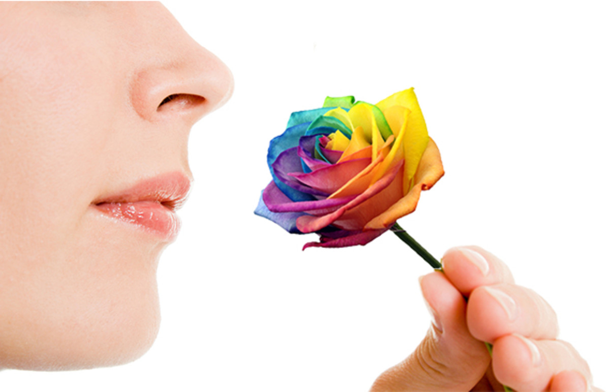 Smell Influences Color Perception: Researchers