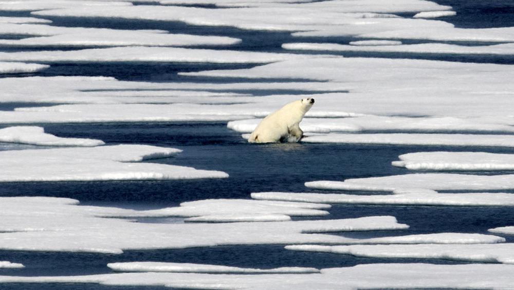 White House steps up work on thawing Arctic