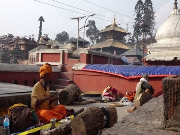 Rs 5 million worth of lights and flowers being decorated in Pashupati area on Mahashivaratri