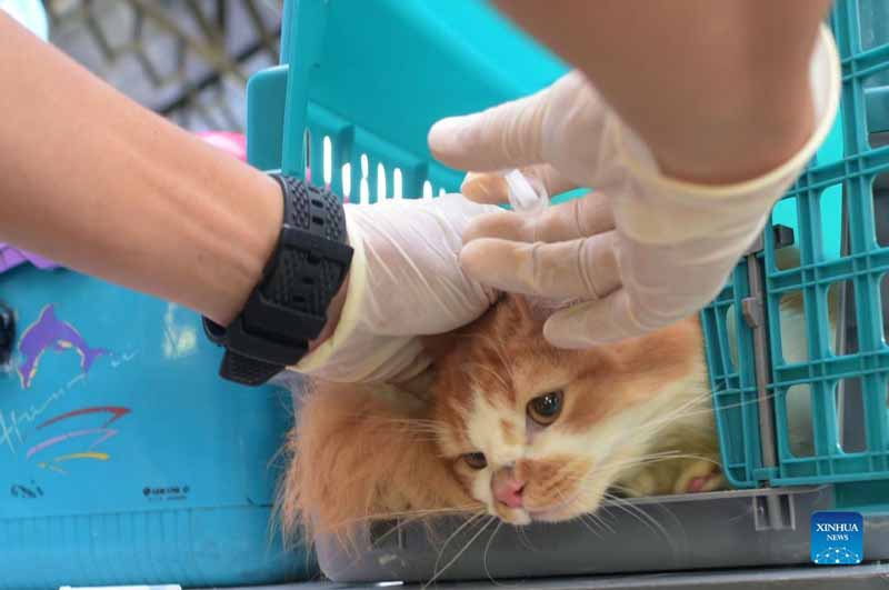 Pet animals receive free rabies vaccines in Indonesia