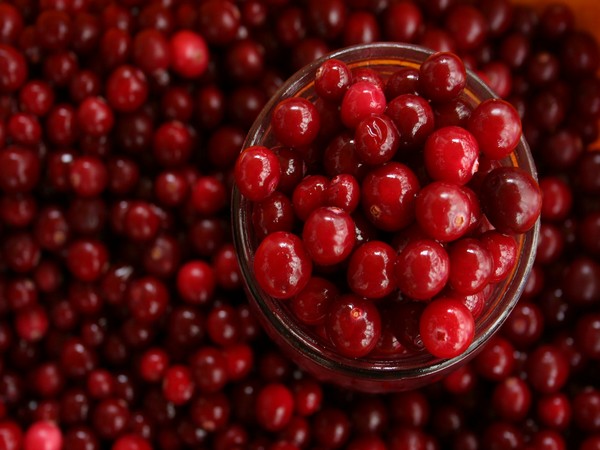 Study: Consumption of cranberries can improve cardiovascular health