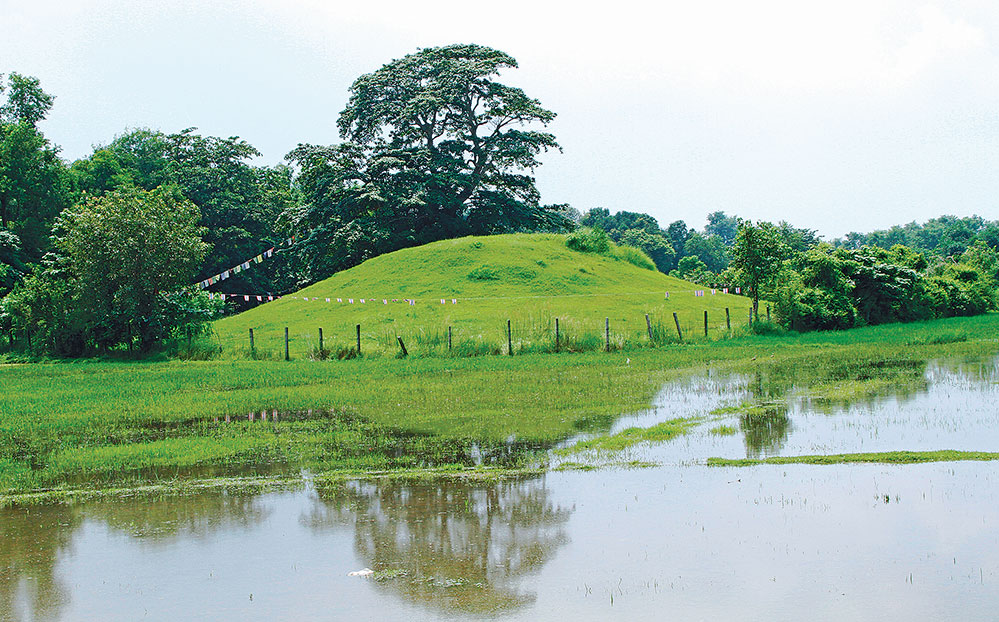 Buddhist organisation calls for annulment of lease of Ramagrama Stupa excavation project