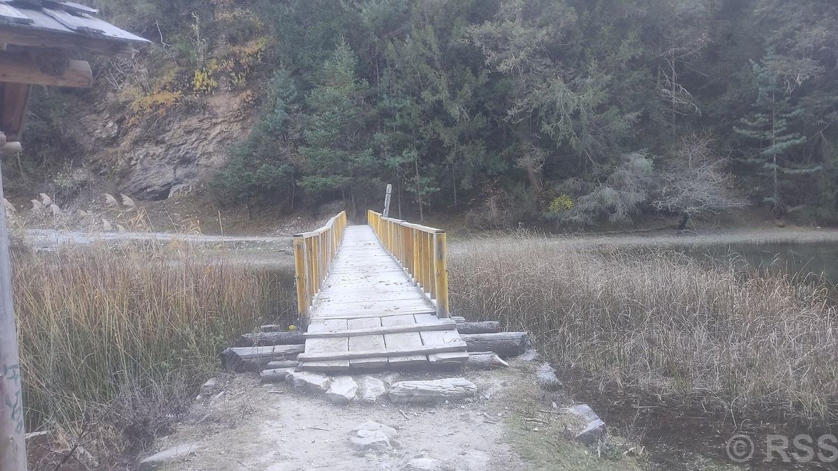 Rara Lake’s natural beauty threatened by encroaching vegetation