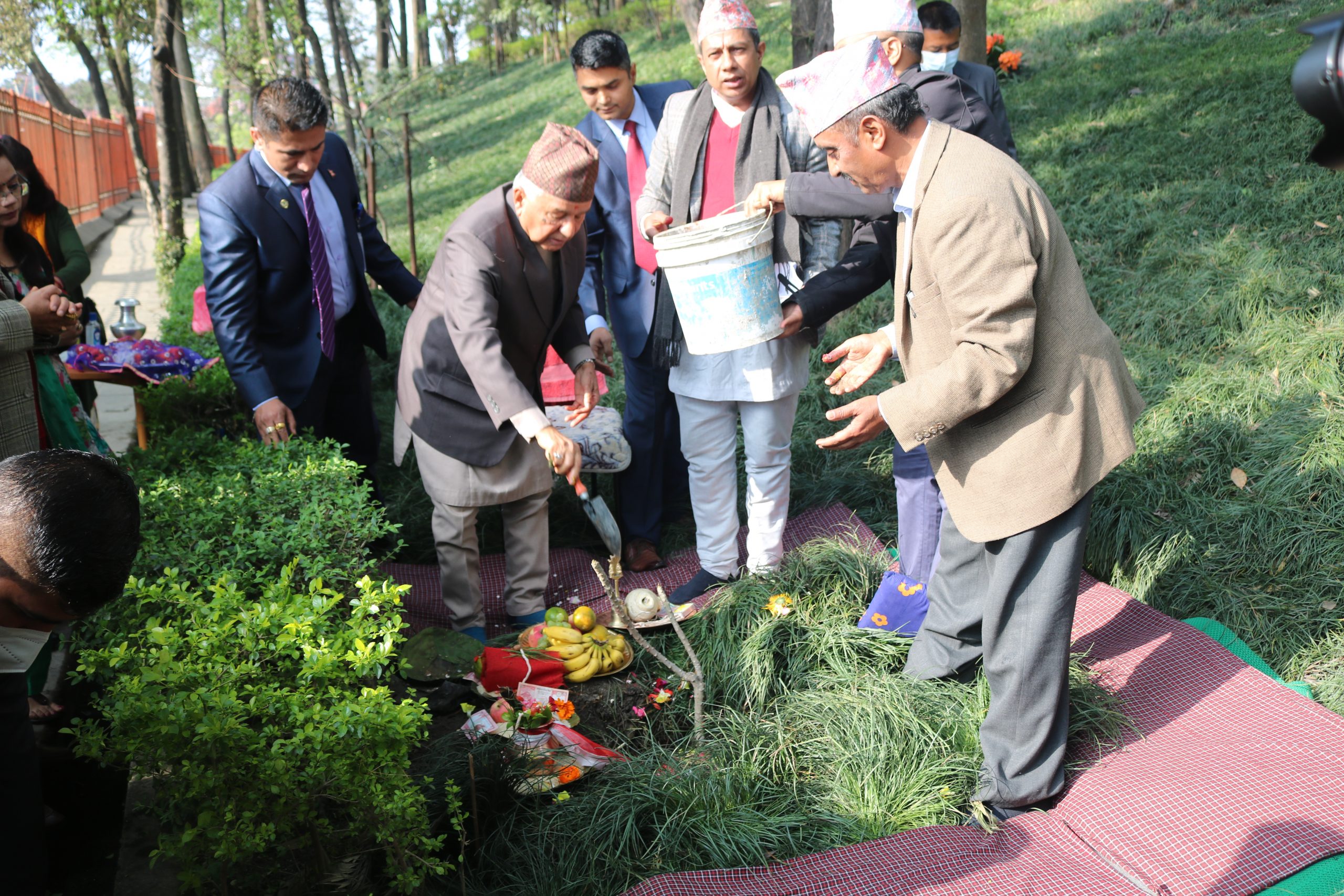 President Paudel plants saplings in Bankali