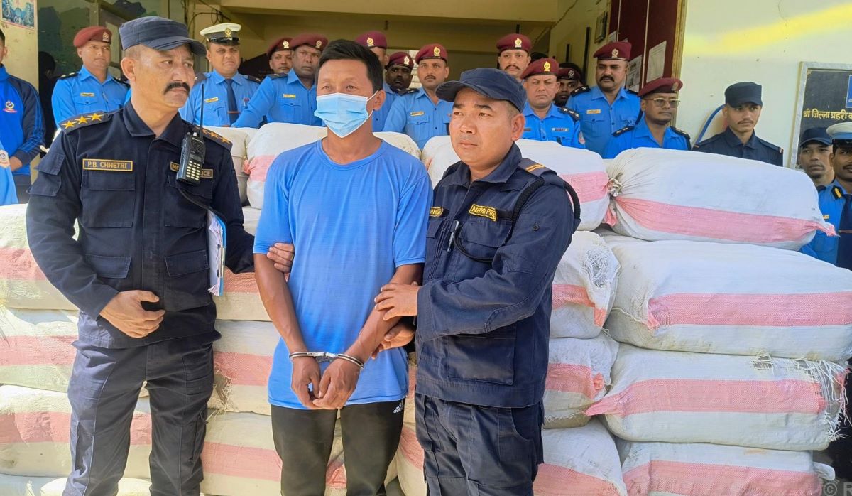 17 quintals marijuana confiscated