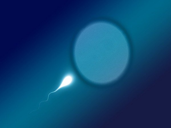 Sperm screening might detect harmful mutations