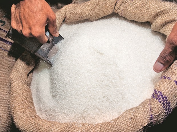 Salt Trading needs to contribute to agriculture sector