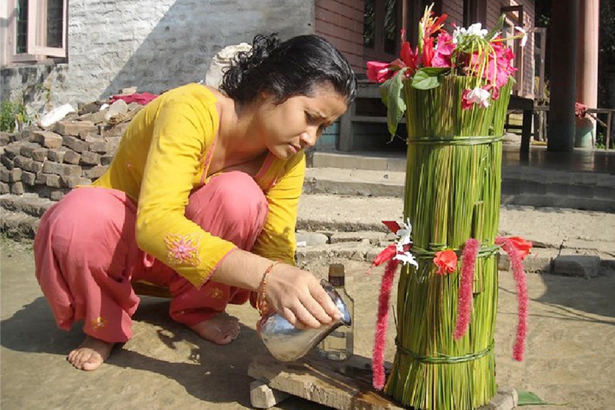 “Yamosa” being celebrated by Tharu community