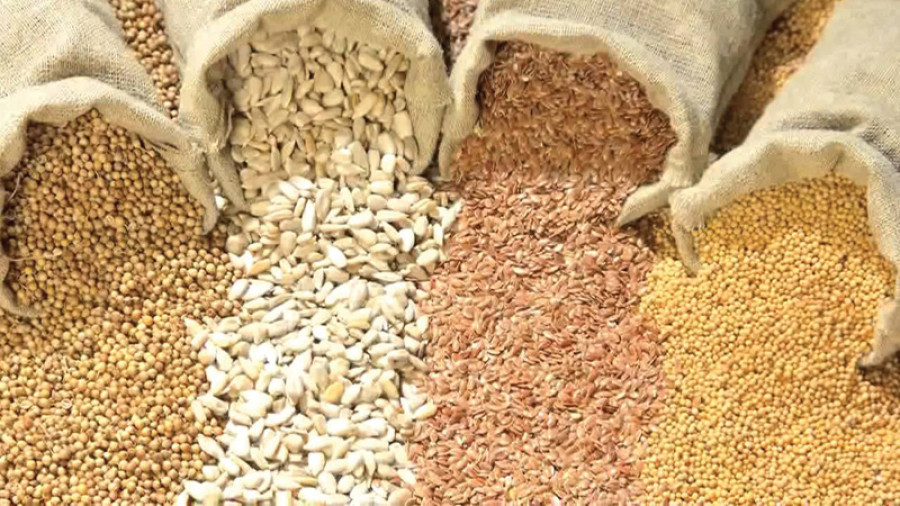 Community seed bank helps preserve seeds in Nawalpur