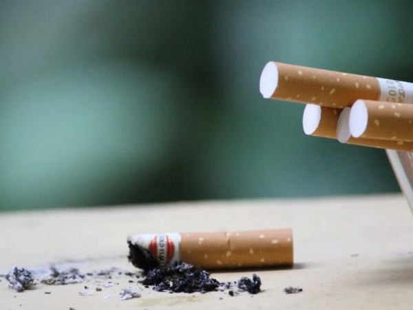 New technique reduces nicotine levels, harmful compounds simultaneously in tobacco