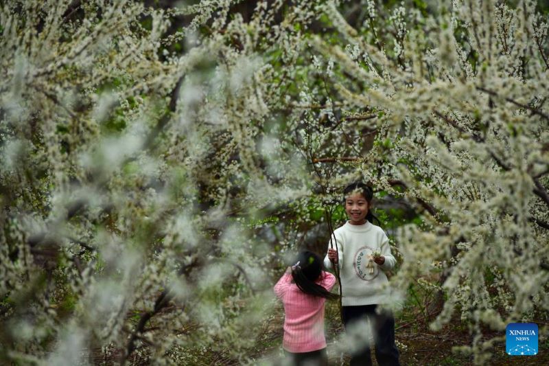 Tourists enjoy spring scenery across China