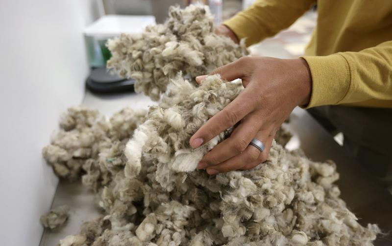 Utah hosts nation’s only commercial wool testing lab