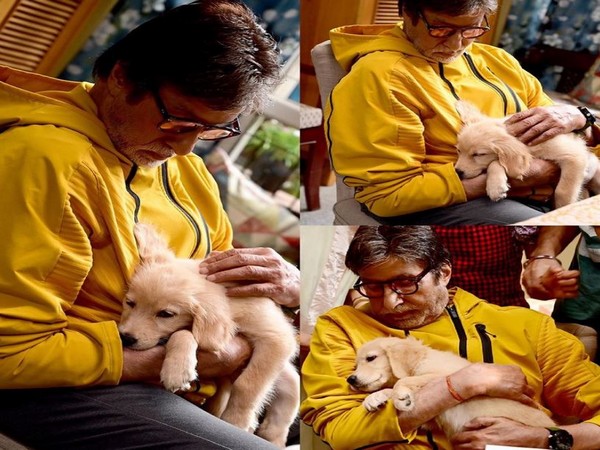 Amitabh Bachchan shares adorable pictures cuddling his new companion