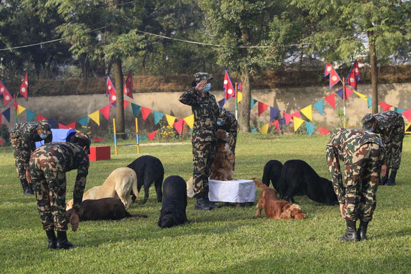 In Pics: Nepal Army celebrating Kukur Tihar